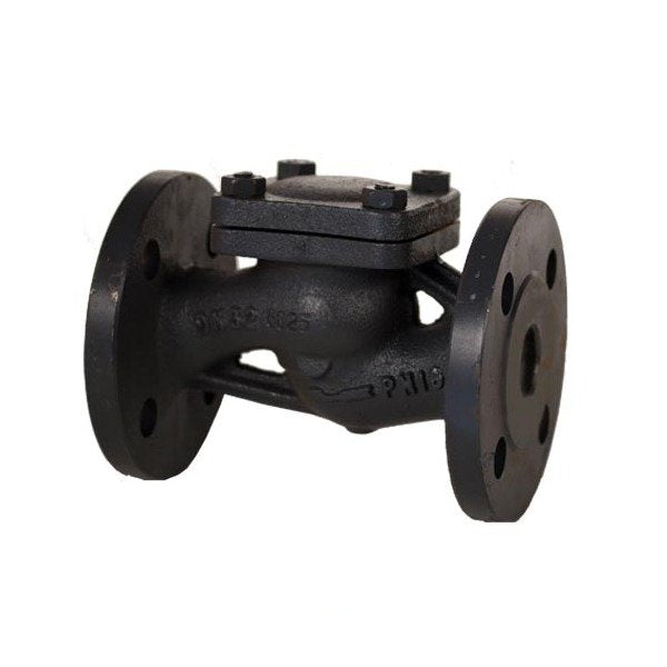 DIN PN 16 Cast Iron Check Globe Valve - Image 1