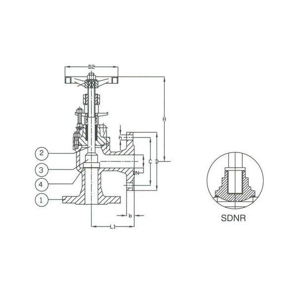PN 16 Ductile Iron Angle SDNR Valve - DIN Angle Valve - Image 1