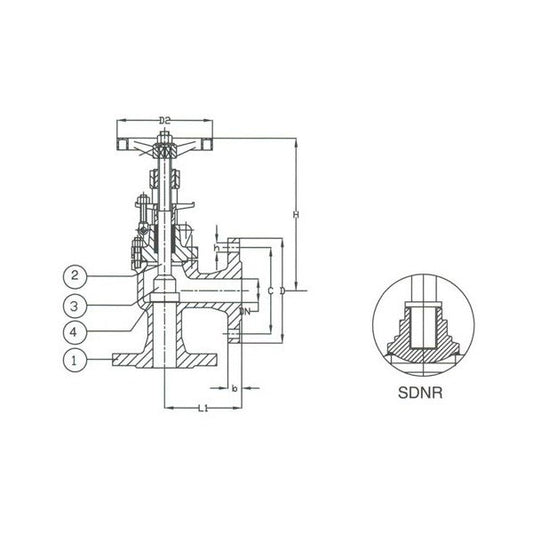 PN 16 Ductile Iron Angle SDNR Valve - DIN Angle Valve - Image 1