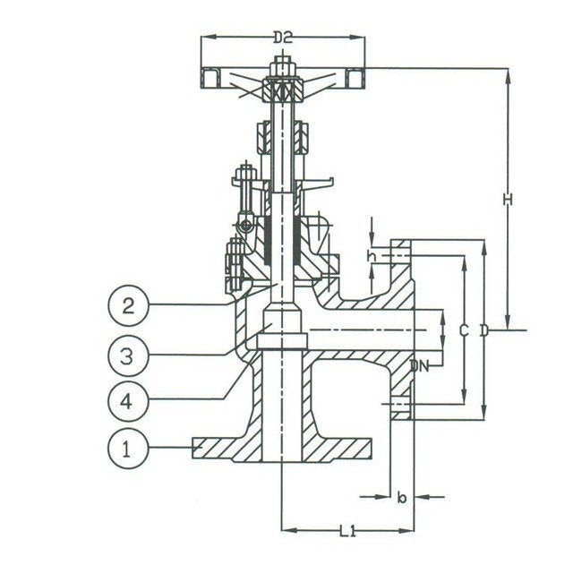 PN 16 Cast Iron Angle Regular Valve - DIN Certified - Image 2