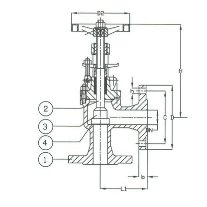 PN 16 Cast Iron Angle Regular Valve - DIN Certified - Image 2