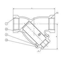 Bronze Class 150 Strainer Valve with Y-Pattern Threaded Cap