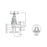 DIN PN 40 Cast Steel Angle SDNR Valve - Size 015