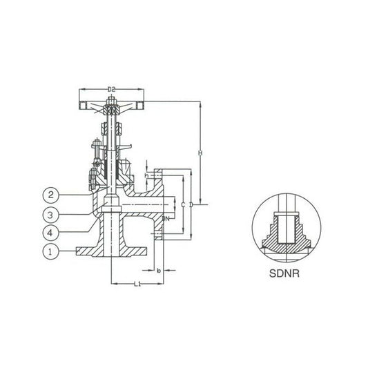 DIN PN 40 Cast Steel Angle SDNR Valve - Size 015 - Image 1