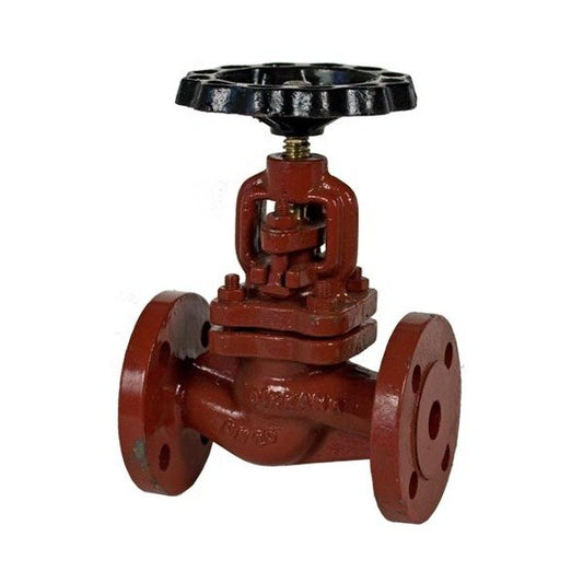 DIN Globe Valve - PN 16 Ductile Iron Construction - Image 1