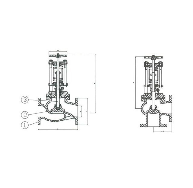 DIN Cast Steel Overboard Angle Valve - PN16 Spring Loaded - Image 1