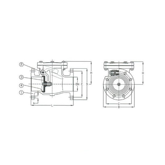 PN 16 Cast Iron Swing Check Valve - DIN 2501-PN16 Flanged Drilled, 125 Size - Image 1