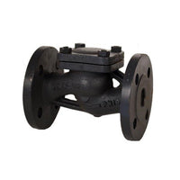 PN 16 Cast Iron Lift Check Globe Pattern Valve - DIN Check Valve