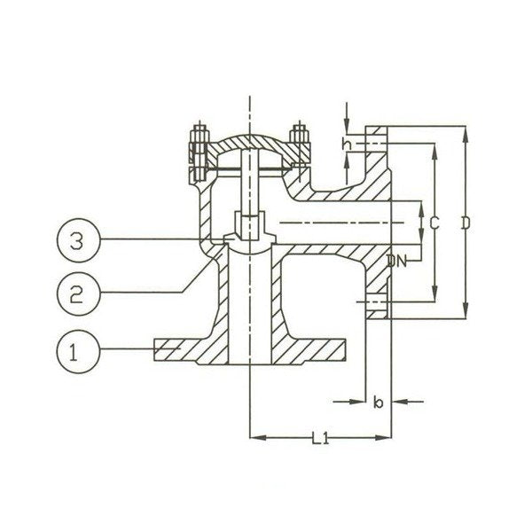 DIN PN 40 Cast Steel Lift Check Angle Pattern Valve - Size 125 - Image 1