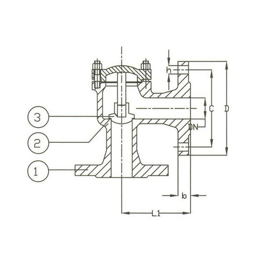 DIN PN 40 Cast Steel Lift Check Angle Pattern Valve - Size 125 - Image 1