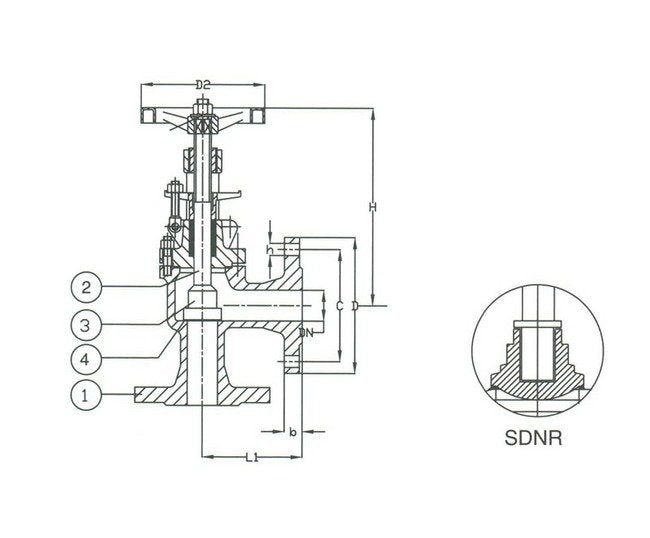 PN 16 Cast Iron Angle SDNR Valve - Size: 250mm - Image 2