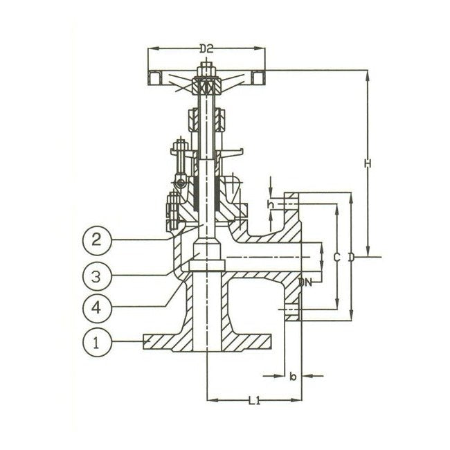 DIN Angle Valve PN 16 Cast Steel Regular Valve - Image 2