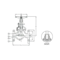 DIN PN100 Cast Steel Globe SDNR Valve 025 Size