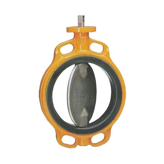 Wouter Witzel Eurovalve Series EVBS Lever-Operated Cast Iron Butterfly Valve - Image 1