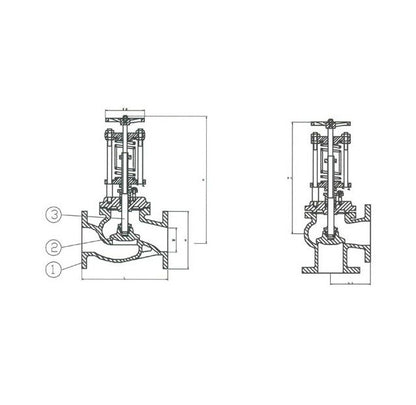 DIN Cast Steel Spring Loaded Angle Valve - PN16 - Image 1
