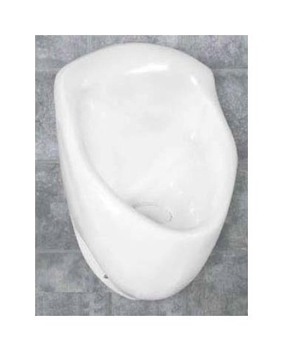 Waterless No-Flushâ¢ Anzaâ¢ Urinal - 18x28x10, ADA Compliant - Image 1