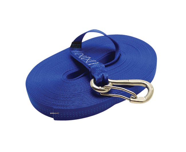 Blue Nylon Webbing Jackline with Stainless Steel Clip - Image 1