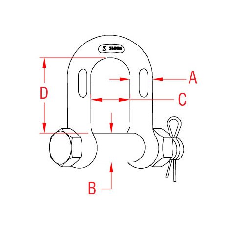 Stainless Steel Chain Shackle with Oversized Bolt - 3/8in Size A, 316-NM - Image 2