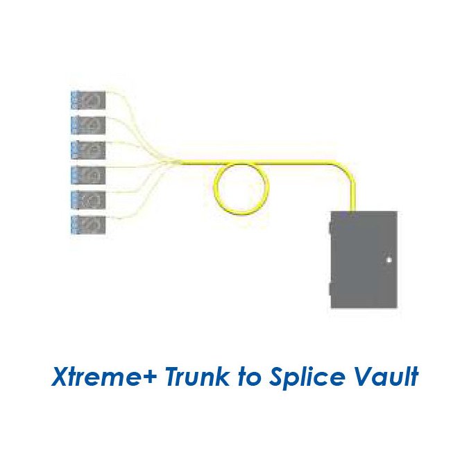 Xtreme+™ Trunks - Image 2