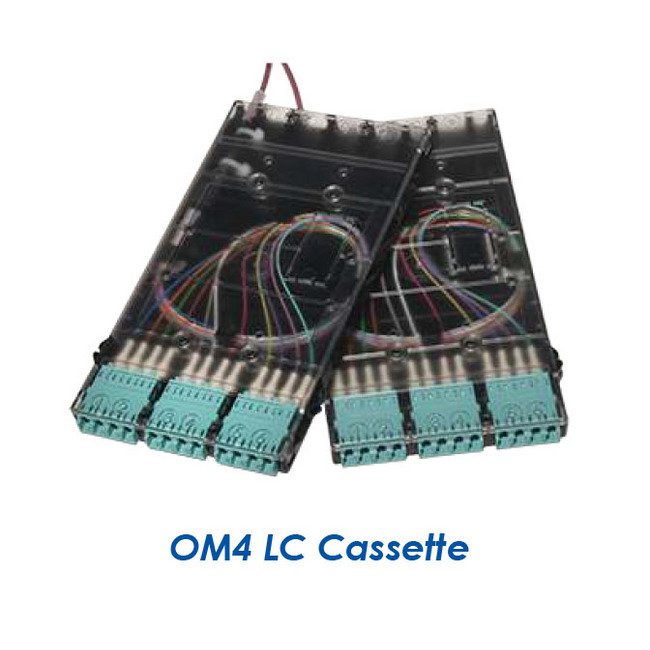 Xtreme+™ Trunks - Image 5