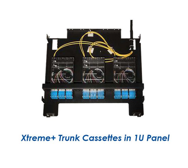 Xtreme+™ Trunks - Image 1