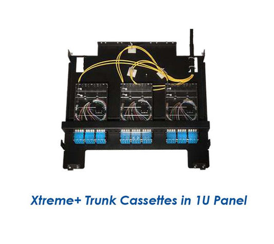 Xtreme+™ Trunks - Image 1